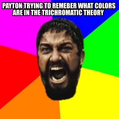 payton-trying-to-remeber-what-colors-are-in-the-trichromatic-theory