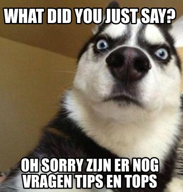 Meme Maker What Did You Just Say Oh Sorry Zijn Er Nog Vragen Tips En