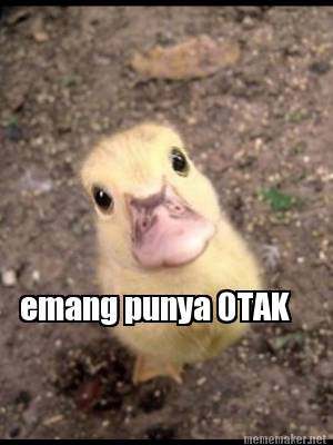 Meme Maker - emang punya OTAK Meme Generator!