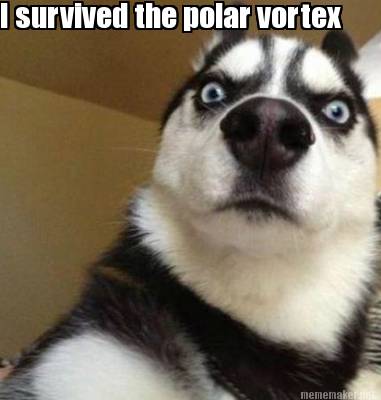 Meme Maker - I survived the polar vortex Meme Generator!