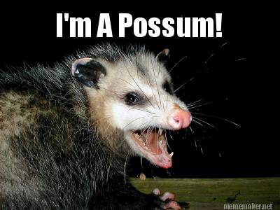 Meme Maker - I'm A Possum! Meme Generator!