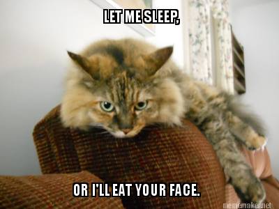 Meme Maker - LET ME SLEEP, OR I'LL EAT YOUR FACE. Meme Generator!