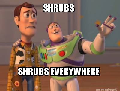 Meme Maker - SHRUBS SHRUBS EVERYWHERE Meme Generator!