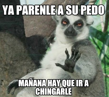 Meme Maker - Ya parenle a su pedo Mañana hay que ir a chingarle Meme ...