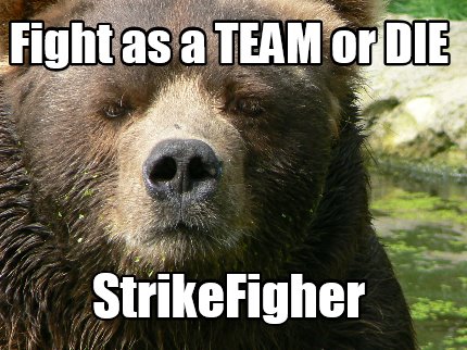 fight-as-a-team-or-die-strikefigher