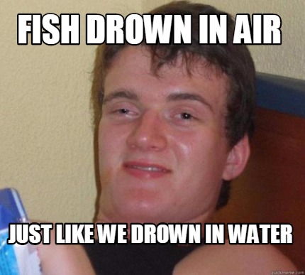 Meme Maker - fish drown in air just like we drown in water Meme Generator!