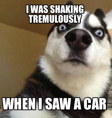 Meme Maker - I was shaking tremulously When I saw a car Meme Generator!