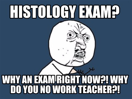 Meme Maker - Histology exam? Why an exam right now?! Why do you no work ...