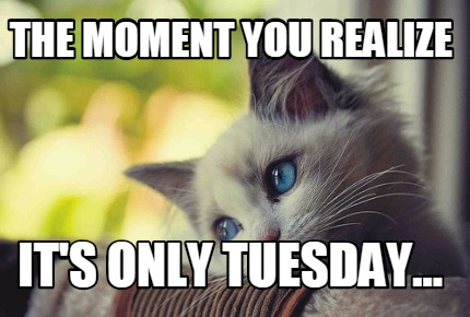 the-moment-you-realize-its-only-tuesday