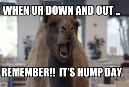 Meme Maker - When Ur Down And Out .. Remember!! It's Hump Day Meme 