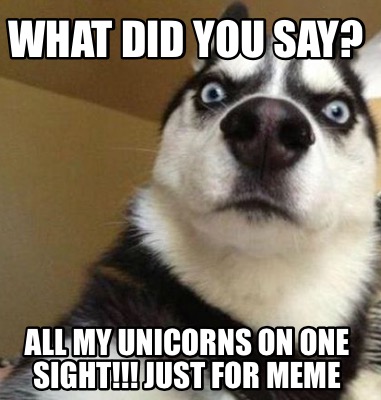 Meme Maker - What did you say? All my UNICORNS on one sight!!! JUST FOR ...