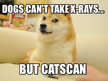 Meme Maker - Dogs can't take x-rays... But catscan Meme Generator!