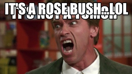 its-not-a-tumor-its-a-rose-bush...lol