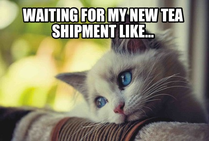 waiting-for-my-new-tea-shipment-like