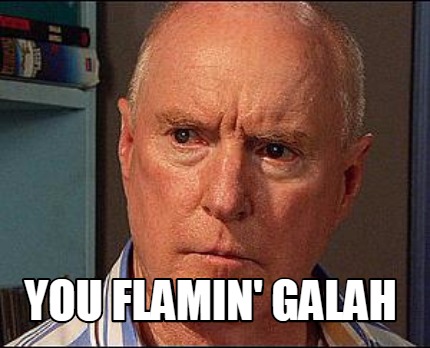you-flamin-galah