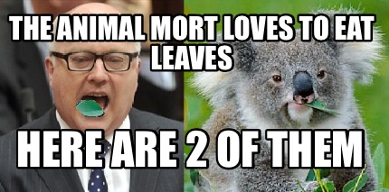 the-animal-mort-loves-to-eat-leaves-here-are-2-of-them
