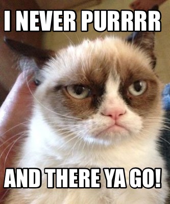 Meme Maker - I never purrrr And there ya go! Meme Generator!