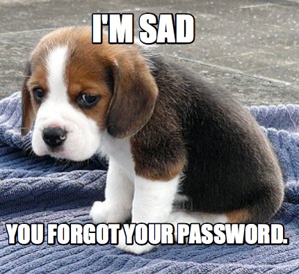 Meme Maker - I'm sad you forgot your password. Meme Generator!