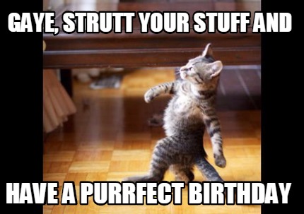 Meme Maker - Gaye, strutt your stuff and have a purrfect birthday Meme ...