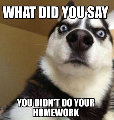 what to say if you didn't do your homework