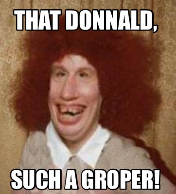 Meme Maker - THAT DONNALD, SUCH A GROPER! Meme Generator!