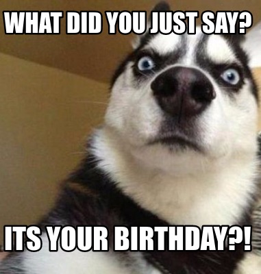 Meme Maker - What did you just say? Its your birthday?! Meme Generator!