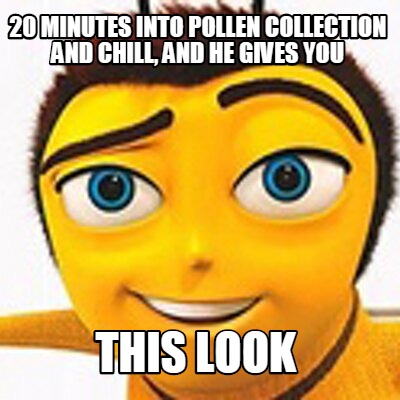 20-minutes-into-pollen-collection-and-chill-and-he-gives-you-this-look