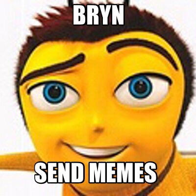 bryn-send-memes
