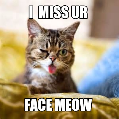 Meme Maker - I MISS YOUR FACE Meme Generator!