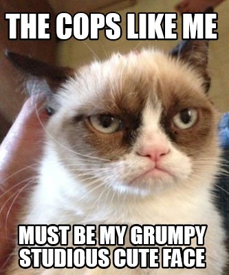 Meme Maker - the cops like me must be my grumpy studious cute face Meme ...