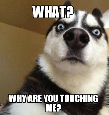 Meme Maker - WHAT? WHY ARE YOU TOUCHING ME? Meme Generator!