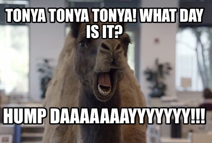 Tonya meme images