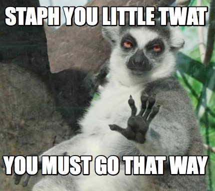 Meme Maker - staph you little twat you must go that way Meme Generator!