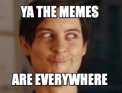Meme Maker - YA THE MEMES ARE EVERYWHERE Meme Generator!