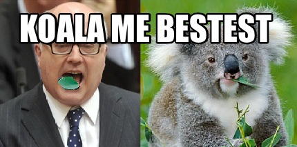 koala-me-bestest