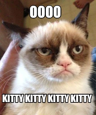 Meme Maker - oooo kitty kitty kitty kitty Meme Generator!