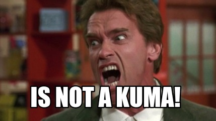 is-not-a-kuma