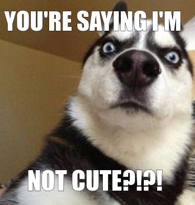 Meme Maker - You're saying I'm Not cute?!?! Meme Generator!