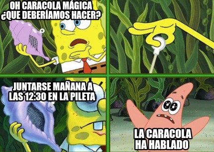 Meme Maker - Oh Caracola mágica ¿Que deberíamos hacer? Juntarse mañana ...