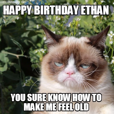 happy birthday grumpy cat memes