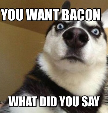 Meme Maker - You want bacon What did you say Meme Generator!