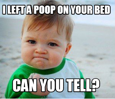 Meme Maker - I left a poop on your bed can you tell? Meme Generator!