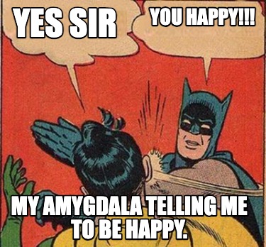 my-amygdala-telling-me-to-be-happy.-you-happy-yes-sir