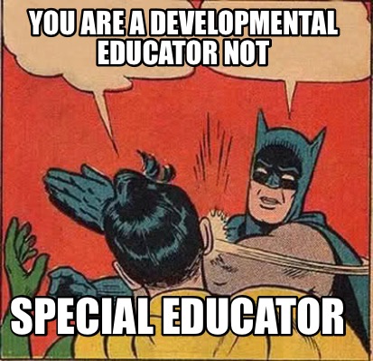 you-are-a-developmental-educator-not-special-educator