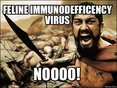 feline-immunodefficency-virus-noooo