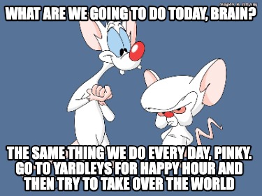 what-are-we-going-to-do-today-brain-the-same-thing-we-do-every-day-pinky.-go-to-