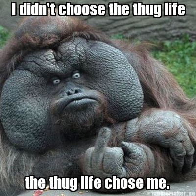 Meme Maker I Didn T Choose The Thug Life The Thug Life Chose Me Meme Generator