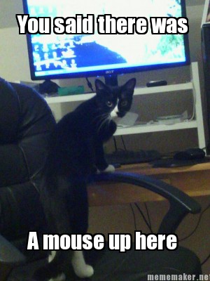 Meme Maker - You said there was A mouse up here Meme Generator!